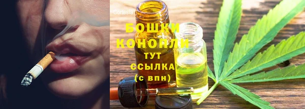 сатива Белокуриха