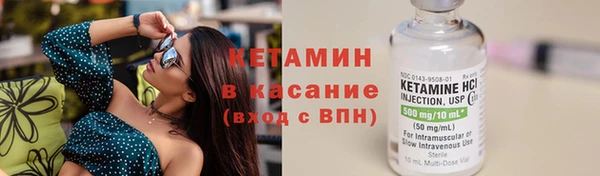 сатива Белокуриха