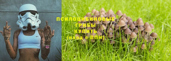 сатива Белокуриха